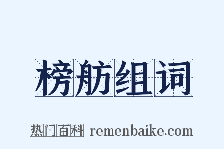 榜舫组词是什么意思的图片